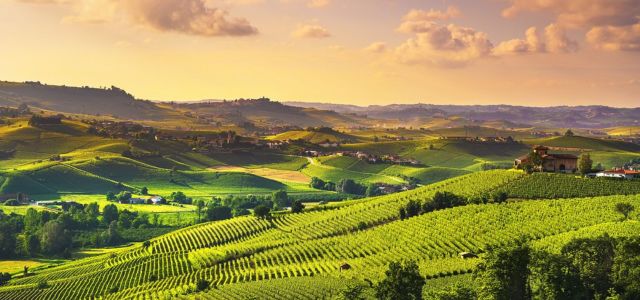 Wine Class: Under the Tuscan Sun