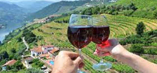 Wine Class:“Portugal